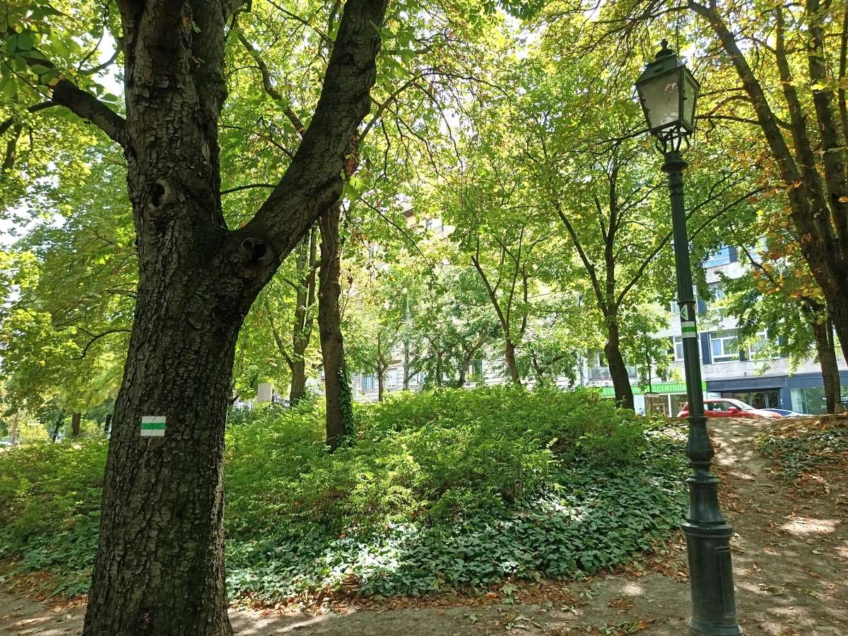 Turistajelzések a Horváth-kertben. Fotó: Kuthi Áron