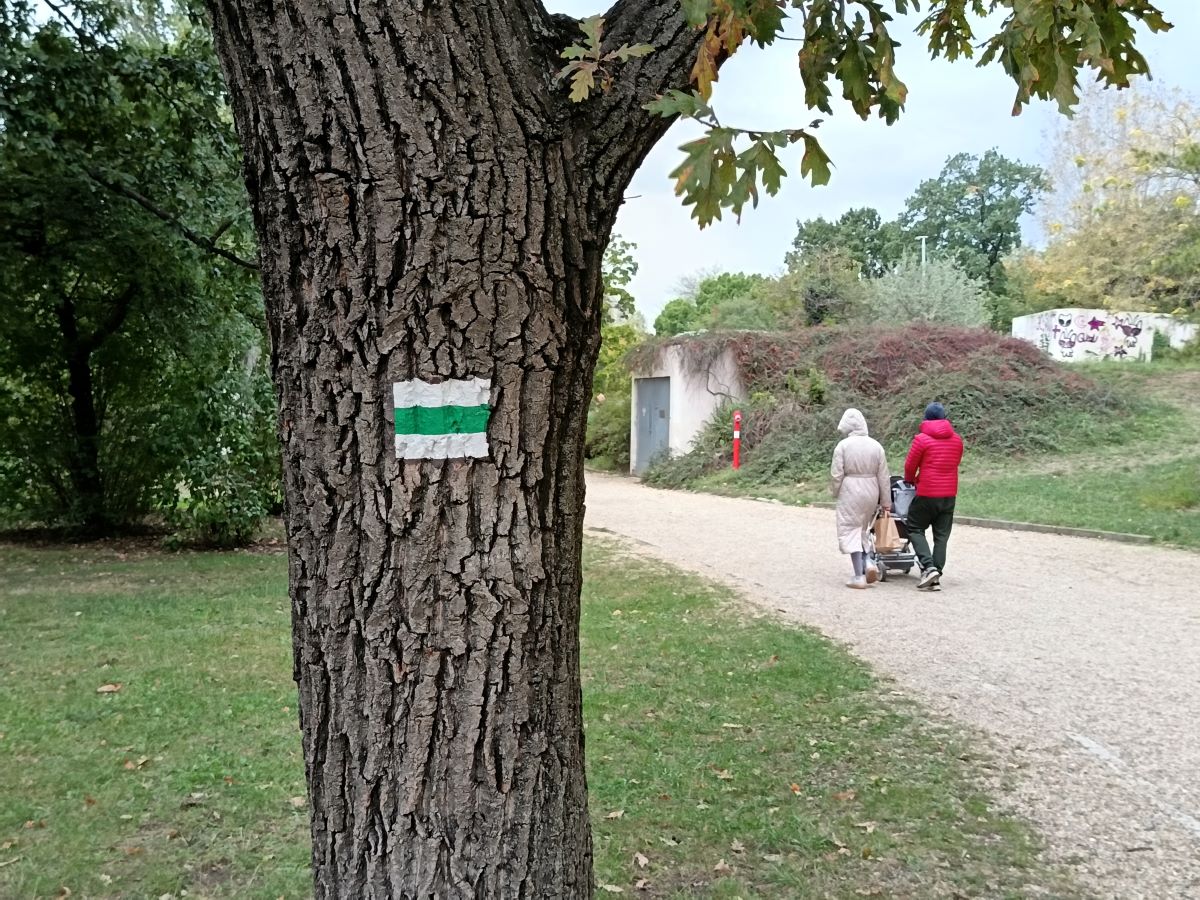 Séta a zöld jelzésen a Vérmezőn. Fotó: Kuthi Áron