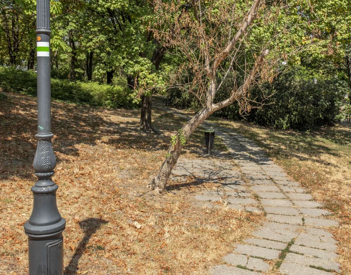 Turistaút is átvezet a parkon. Fotó: Tóth Tibor