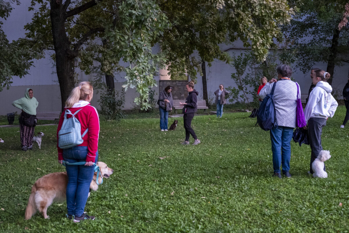 Akela Kutyaiskola tanfolyma