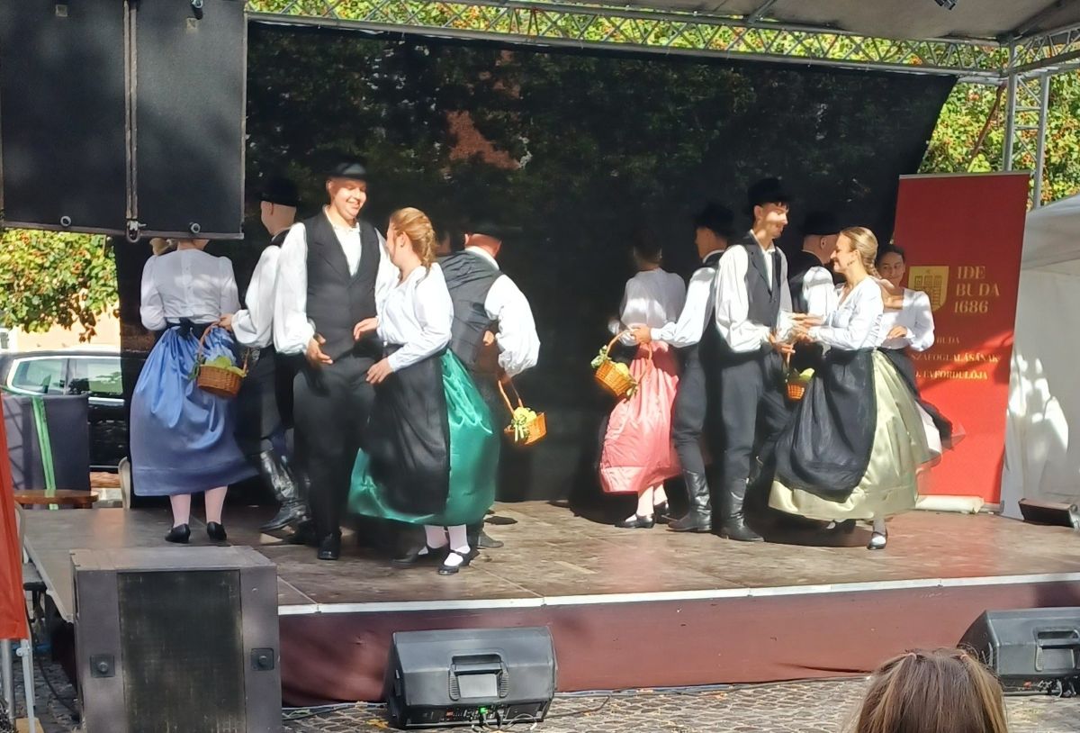 A Német Nemzetiségi Önkormányzat bemutatója a Kapisztrán téren. Fotó: Tóth Tibor